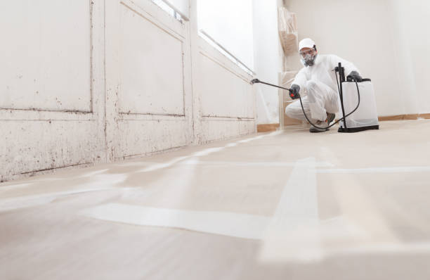 24/7 Emergency Commercial Mold Remediation experts in Unionville, GA