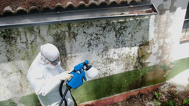 Trusted Mold Remediation service in Unionville, GA - Cheap Mold Removal